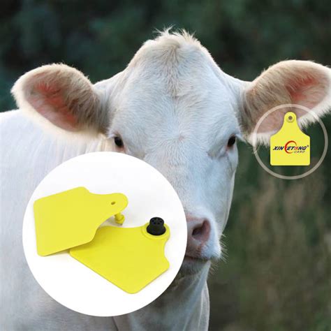 duck rfid chip|rfid tags for animals.